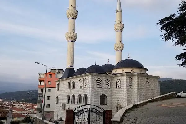 Çamlı Tepe Camii Gemlik - Resim 13