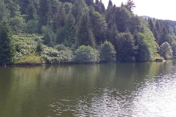 Balıklı Gölü Turistik Tesisleri - Resim 6