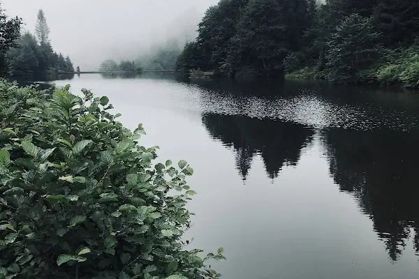 Balıklı Gölü Turistik Tesisleri - Resim 10