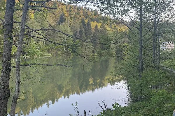 Balıklı Gölü Turistik Tesisleri - Resim 5