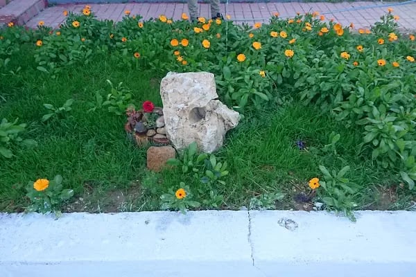 Yavuz Sultan Selim Ortaokulu - Resim 3