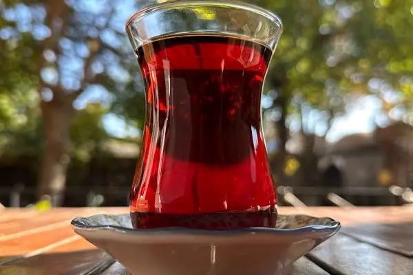 İskender Paşa Konağı - Resim 14