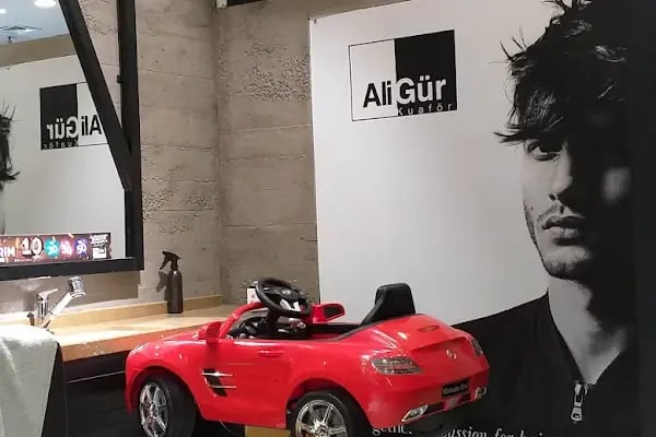 Ali Gür - Resim 13