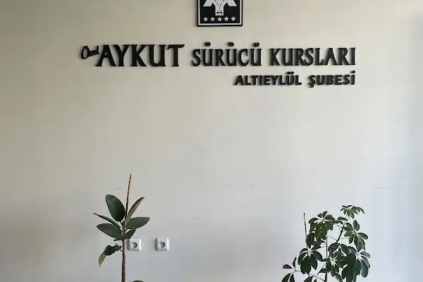 ÖZEL ALTIEYLÜL AYKUT SÜRÜCÜ KURSU - Resim 13