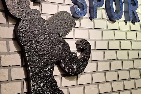 Diyarbakır atlas spor merkezi - Resim 13