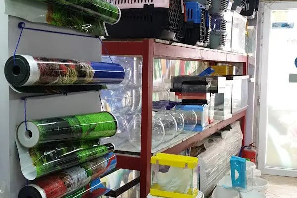 Baracuda Pet Shop - Resim 7