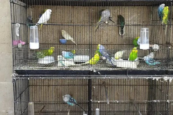 Baracuda Pet Shop - Resim 2