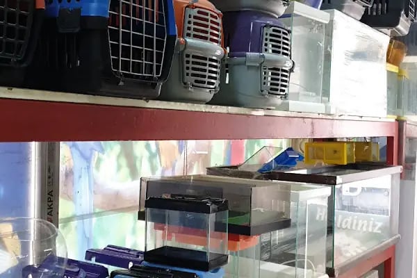 Baracuda Pet Shop - Resim 12