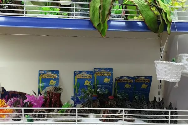 Baracuda Pet Shop - Resim 15