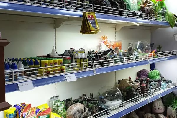 Baracuda Pet Shop - Resim 8
