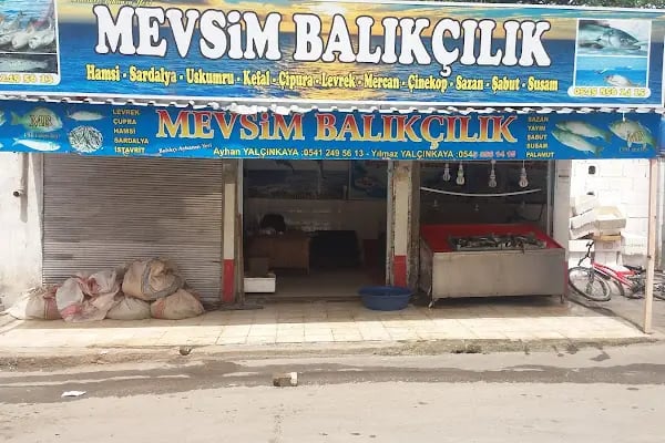 Mevsim Balıkçılık - Resim 5