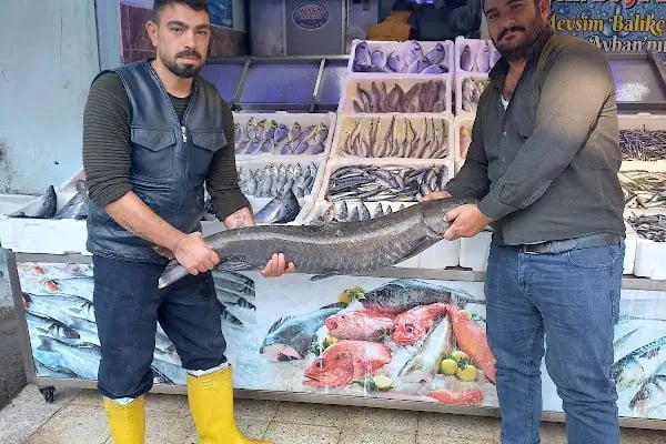 Mevsim Balıkçılık - Resim 18