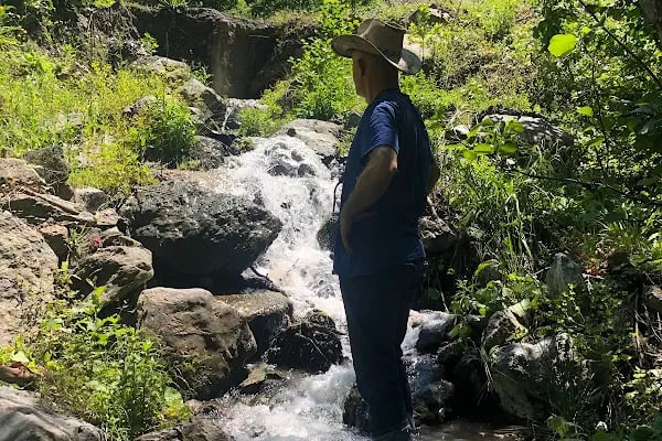 Sapanca Kanarya Doğa Evleri - Resim 4