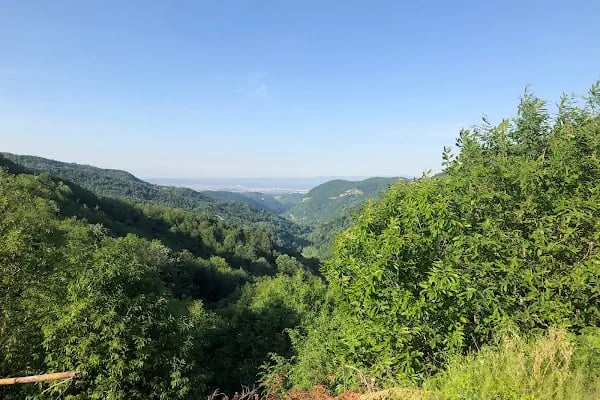 Sapanca Kanarya Doğa Evleri - Resim 6