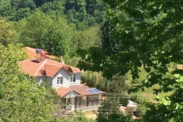 Sapanca Kanarya Doğa Evleri - Resim 13