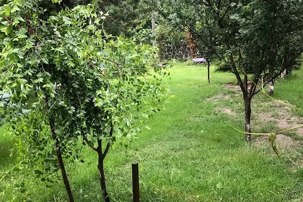 Sapanca Kanarya Doğa Evleri - Resim 8