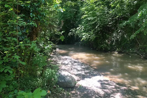 Sapanca Kanarya Doğa Evleri - Resim 5