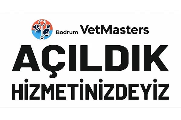 BODRUM VETERİNER - VETMASTERS Veteriner kliniği - Resim 12