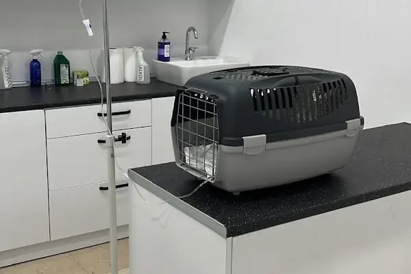 BODRUM VETERİNER - VETMASTERS Veteriner kliniği - Resim 7