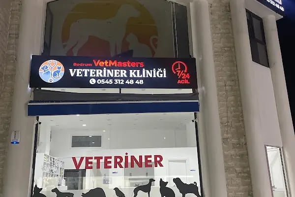 BODRUM VETERİNER - VETMASTERS Veteriner kliniği - Resim 13