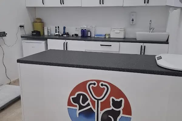 BODRUM VETERİNER - VETMASTERS Veteriner kliniği - Resim 8