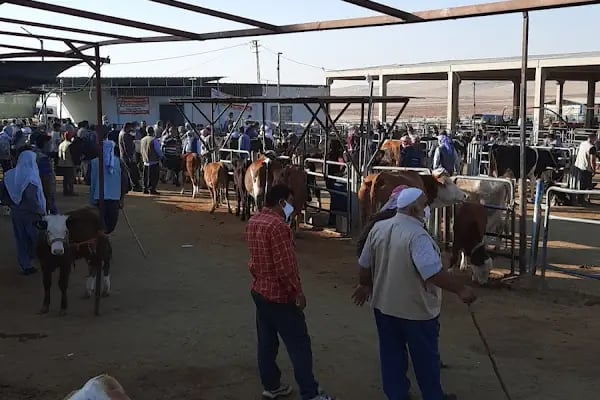 Şanlıurfa Belediyesi Yeni Hayvan Pazarı - Resim 12