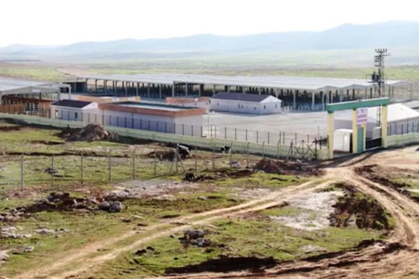 Şanlıurfa Belediyesi Yeni Hayvan Pazarı - Resim 20