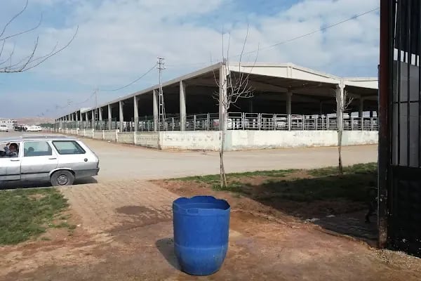 Şanlıurfa Belediyesi Yeni Hayvan Pazarı - Resim 2