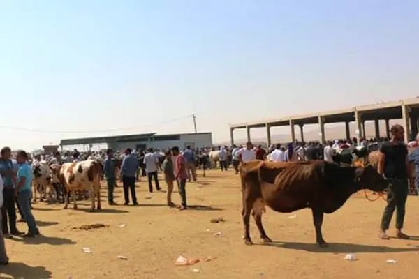 Şanlıurfa Belediyesi Yeni Hayvan Pazarı - Resim 9