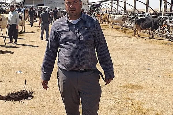 Şanlıurfa Belediyesi Yeni Hayvan Pazarı - Resim 8