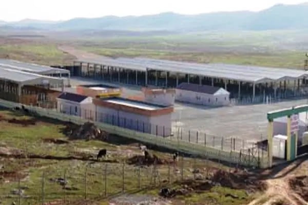 Şanlıurfa Belediyesi Yeni Hayvan Pazarı - Resim 4