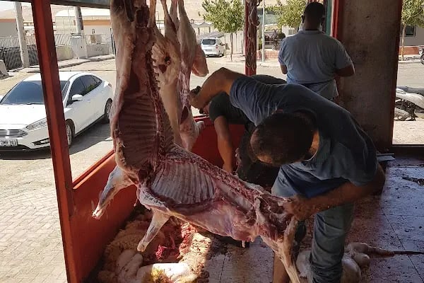 Şanlıurfa Belediyesi Yeni Hayvan Pazarı - Resim 14