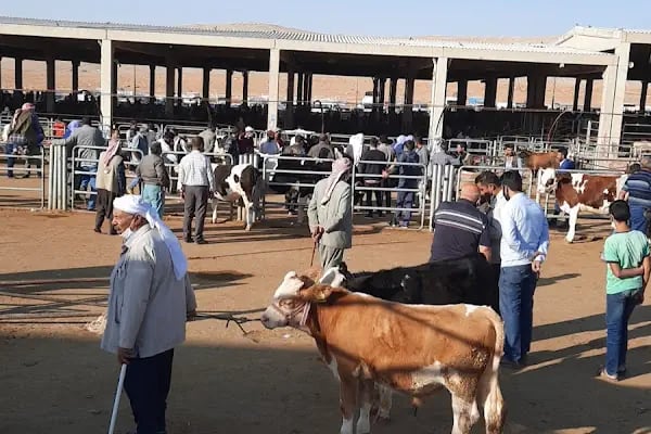 Şanlıurfa Belediyesi Yeni Hayvan Pazarı - Resim 7