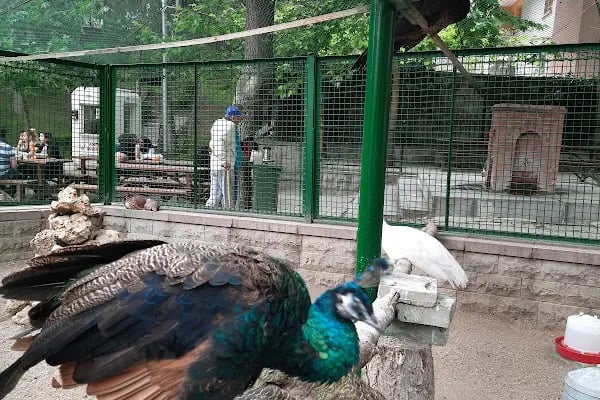 Keçiören Evcil Hayvanlar Parkı - Resim 8