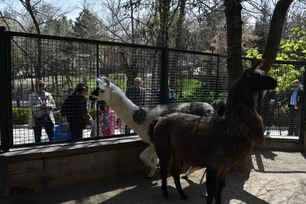 Keçiören Evcil Hayvanlar Parkı - Resim 1