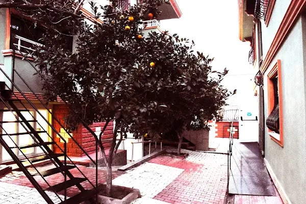 Özel Akademik Terapi Özel Eğitim Ve Rehabilitasyon Merkezi - Resim 19