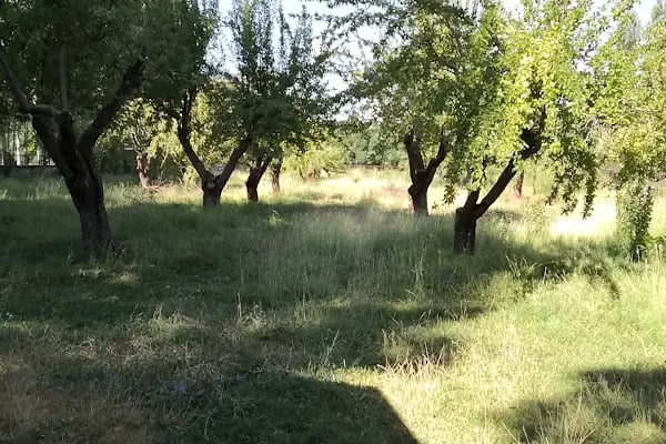 Tanır Aile Sağlığı Merkezi - Resim 3