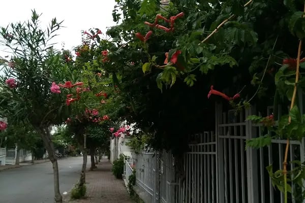 Adalar İlçe Gıda Tarım ve Hayvancılık Müdürlüğü - Resim 2