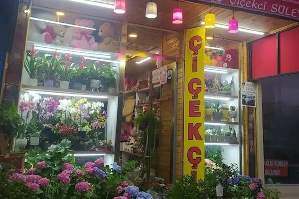 Atakum Çiçekçi | Gardenia Çiçekçilik &amp; Samsun Çiçekçi - Resim 3