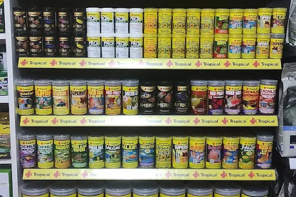 Kayahan Petshop (Akvaryum Balık Avm) - Resim 18
