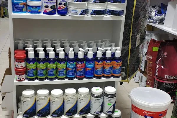 Kayahan Petshop (Akvaryum Balık Avm) - Resim 14