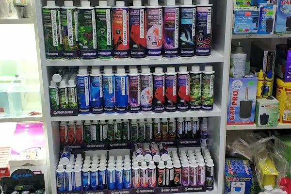Kayahan Petshop (Akvaryum Balık Avm) - Resim 17