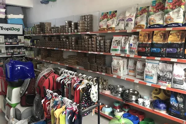 Kayahan Petshop (Akvaryum Balık Avm) - Resim 12