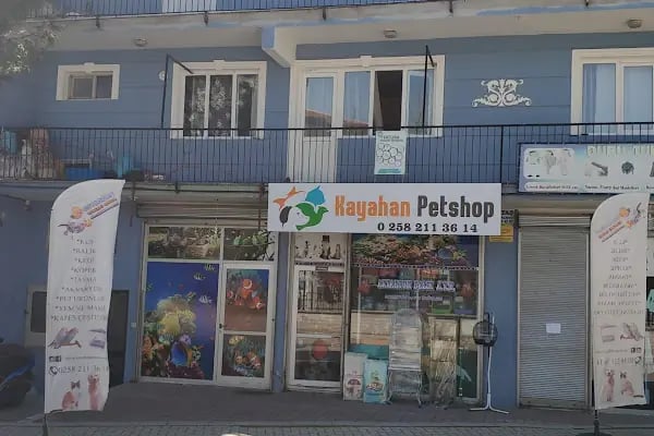 Kayahan Petshop (Akvaryum Balık Avm) - Resim 2