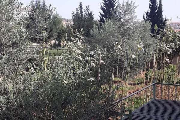 Yeni Halfeti - Resim 12