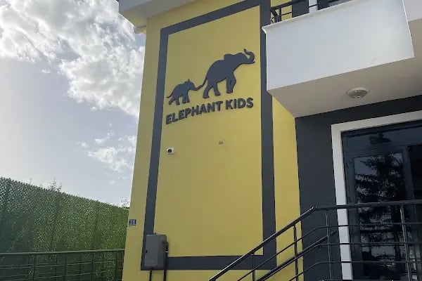 Elephant Kids - Resim 7
