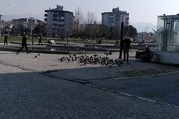 YEŞİL VERGİ DAİRESİ TELEFON - Resim 6