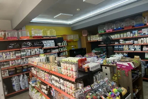 BARMELİF PETSHOP - Resim 3