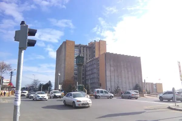 Hacettepe Üniversitesi Sağlık Bilimleri Fakültesi Ergoterapi - Resim 2