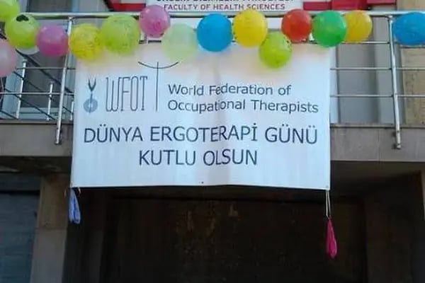 Hacettepe Üniversitesi Sağlık Bilimleri Fakültesi Ergoterapi - Resim 3